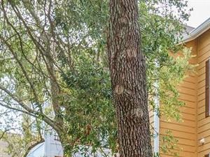 Jackson Square Apartments, 1767 Hermitage Blvd, Tallahassee, FL - RENTCafé